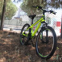 Mosso Wildfire V 24 Jant Çocuk Bisikleti Lime - Siyah