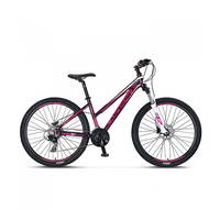 Mosso Wildfire L - 27.5'' Jant 16'' Kadro - Hidrolik Fren - Dağ Bisikleti Mürdüm