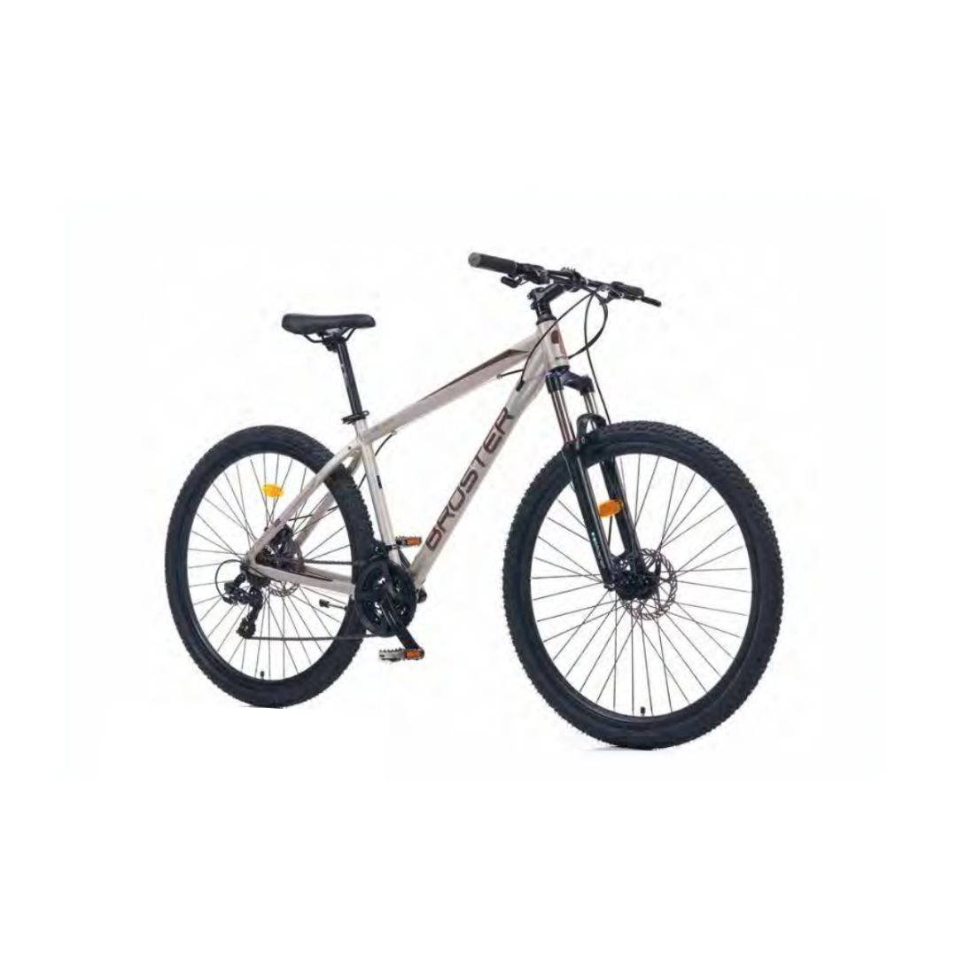 Broster Astron - 18'' Kadro - 27,5 Jant - Dağ Bisikleti - Mat Gri