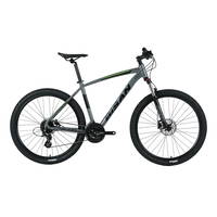 Bisan Mtx 7300 - 29 Jant 17'' 43 Cm (M) Kadro Dağ Bisikleti - Metalik Gri - Yeşil