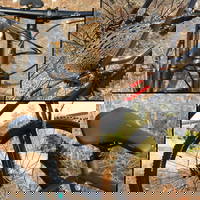 Carraro Big 912 D - 29 Jant 16'' 40cm ( Xs - S ) Kadro Hd Dağ Bisikleti- Gece Mavisi Siyah Turuncu 