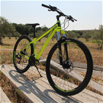 Mosso Wildfire 29 Jant  Dağ Bisikleti Lime - Siyah