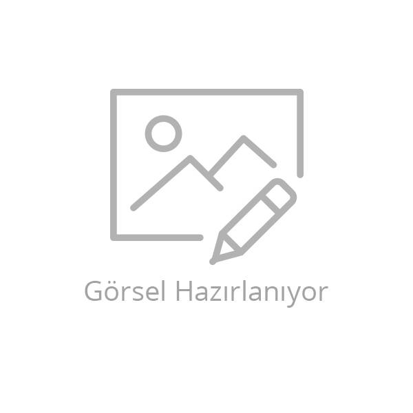 Görsel Hazırlanıyor